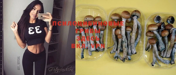 apvp Богданович