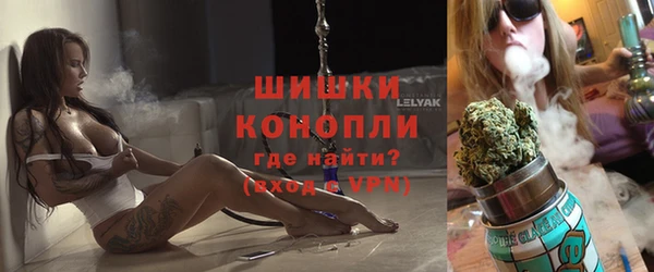стаф Богородицк