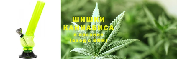 apvp Богданович