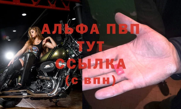 apvp Богданович