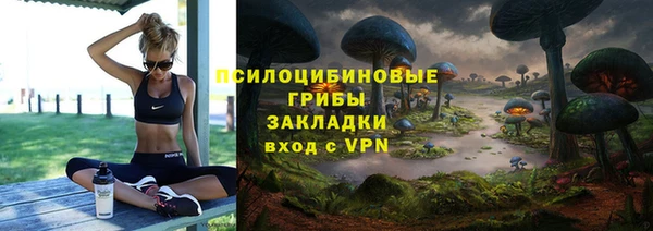 стаф Богородицк
