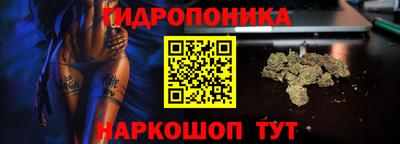 индика Гагарин