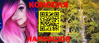прущие грибы Гатчина