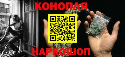 индика Гагарин