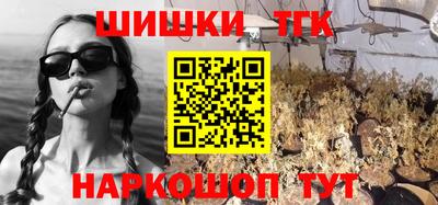 прущие грибы Гатчина