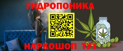 индика Гагарин