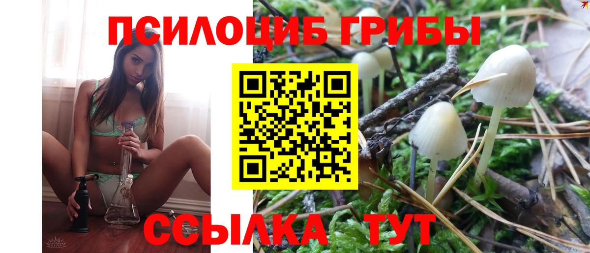 Галлюциногенные грибы прущие грибы  Вход с VPN  Галлюциногенные грибы мицелий  Гулькевичи 