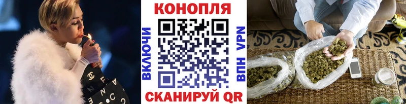 Каннабис сатива Гулькевичи
